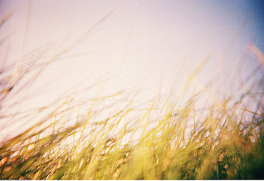 黄色软件在哪里:极限竞速地平线5隐藏涂装获取全攻略,稀有设计一网打尽-4