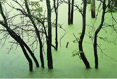 一性_一交一做一爱:极速狂飙,与你的钢铁伙伴共赴灵魂之旅-3