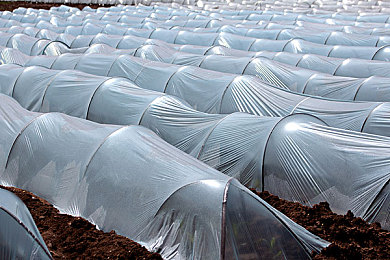 tiktkok色板：极限调色师，用色彩匹配赛道，开启视觉竞速新体验-2