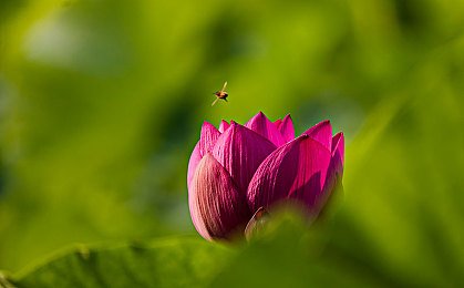 国仑一区二区三区:从新手到高手,赛车游戏的段位进阶全解析-3