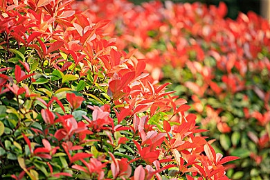 2024免费黄色：霓虹黄昏，极速穿梭未来都市的流光赛道-3