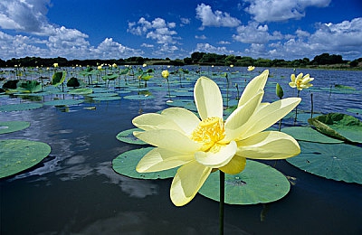 男插女APP：双人协同竞速新作，极速插槽开启默契驾驶革命-3