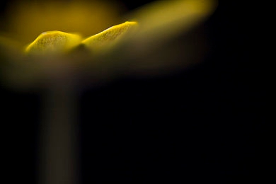 日本aⅴ：东京湾极速对决，沉浸体验日系跑车改装文化与拟真赛道挑战-3