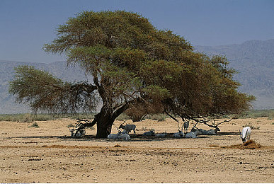强伦轩一区二区三区四区产品特点:极速境界,驾驭时空,驰骋万象的终极驾驶圣殿-2