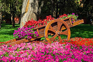 体育生沦陷沦为胯下玩物:极速征服今日上线,天才车手深陷操控谜局,自由与枷锁仅一线之隔-2
