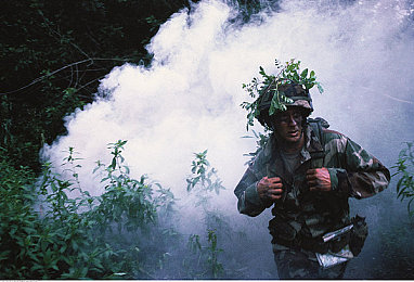 黄涩app：墨西哥落日下的金色赛道，视觉与速度交织的流动艺术史诗-2