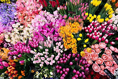 18岁app：极限车手地平线，解锁你的速度与成长梦想-3