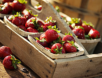 世界上最令人不安纪录片:沉浸未来都市,驾驶舱内窥见人性迷失的真相-3