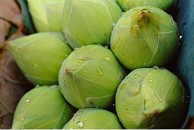 小鲜肉GAY无套 免费应用:《极速狂飙》新版即将上线,每日挑战奖励优化引玩家期待-2