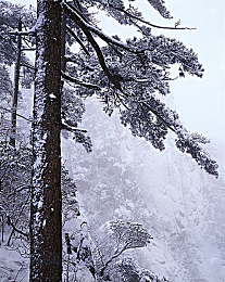 明里釉人妻出差侵犯：霓虹深渊中的极速良知，家庭重负与引擎轰鸣的灰色抉择-3