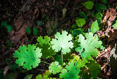 不穿衣服美女的软件：《极速幻影》深度评测，涂装文化如何让赛车成为玩家个性画布-3