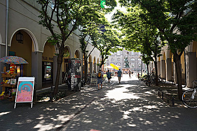 女人与宠物性猛交狂配：极速羁绊，人车共鸣的巅峰同步之旅-4