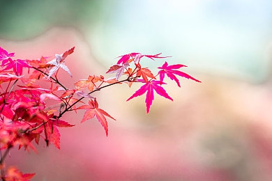 国产伦理AV：方向盘上的道德抉择，驾驶模拟游戏探讨都市伦理困境-2