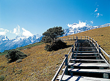 暴露狂男模体育生被调教：极限车魂改装大师上线，顶级机械师如何驯服赛道敏感野兽-4