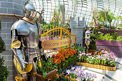 男人把自己的困困放在女人的困：极速困途今日上线，赛车手与导航员的极限信任考验-2