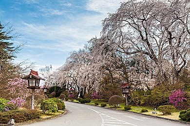 生活中的玛丽经典k8经典:像素之心驶向赛博都市,经典重燃于开放之路-3
