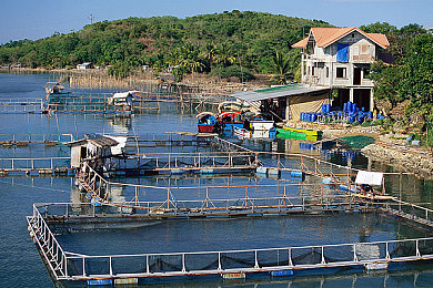 黄色网页入口处：地平线5落日赛道攻略揭秘，墨西哥黄金时段竞速秘籍全公开-4