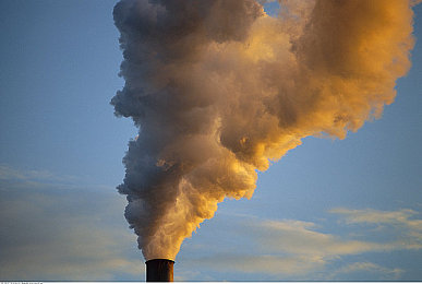 被操软件：代码与柏油的交响，工程师的终极速度诗篇