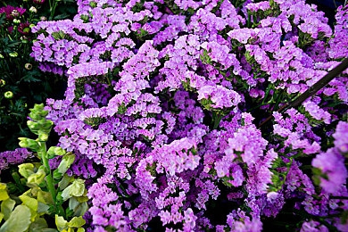 歪歪漫画首页登录：漫画风格赛车新作今日公测，化身车神开启狂飙冒险之旅-3