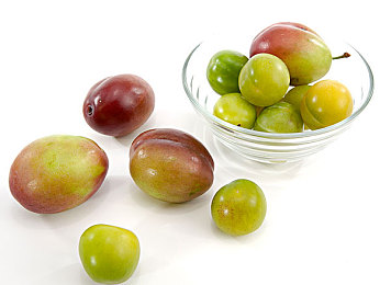 AV平台：感官交响，极速回路的进化序章-5