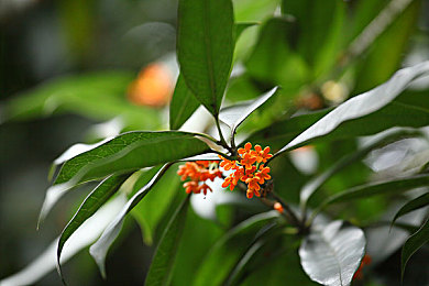 无播放器a:沉浸驾驶新境界,极限竞速地平线5关闭界面回归纯粹竞速-3