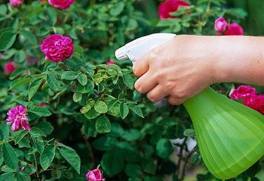 红桃38.47隐藏人口163：极速都市暗藏玄机，废弃仓库解锁百人谜团与稀有改装-3