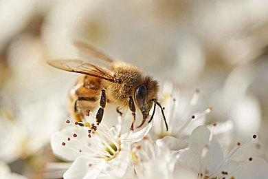 黄游下载3.0.3每天无限次免费大全免费2023：极速地平线，未来都市昼夜飞驰无限狂飙-3