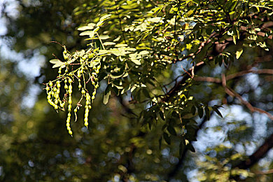 人与与姓交:极速羁绊革新赛车体验,深度同步系统实现真正人车合一-1