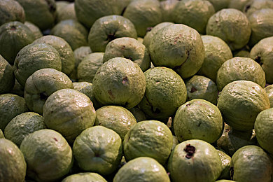 《兽娘通信～海豚娘》剧情介绍：蔚蓝之心的契约，一段净化海洋的治愈旅程-2