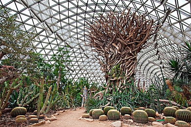 222台湾中文娱乐网：融合华语流行文化，赛车新作《极速华流：街头争锋》今日上线，带你领略中文街景竞速魅力-4