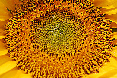 黄色软件下载免费3.：极速狂飙3正式上线，免费畅玩街头赛车新纪元-4