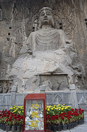 成全视频动画：极速光影，导演你的每一帧竞速艺术-2