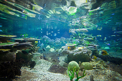 机机对机手机免费版下载安装安卓2025：2025年科幻竞速新作登场，动态AI赛道革新移动游戏体验