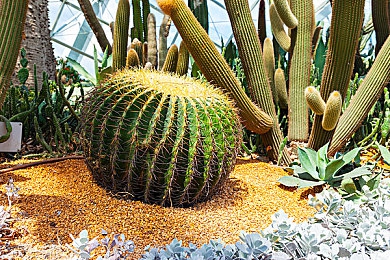 男GayGays 小鲜:《极速偶像:星途赛道》今日上线,融合角色养成与竞速的全新体验-2