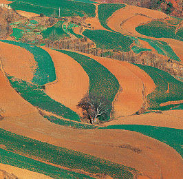 蜜桃 成人：竞速游戏新标杆，地平线系列如何让玩家从新手蜕变为赛道大师-4