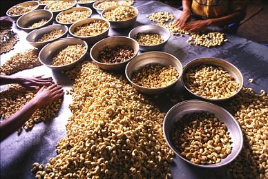 蜜桃AV鲁：霓虹桃色，极速狂飙幻想之旅-3