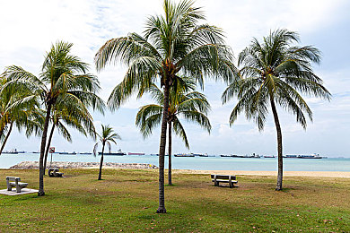 打扑克又疼又叫的软件下载：《扑克牌公路》正式上线，卡牌竞速融合痛感反馈引爆玩家热议-3