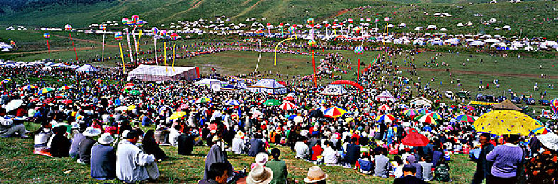 软件下载3.0.3免费版破解大全2025最新:墨西哥狂飙,地平线五载具全收集与终极调校自由指南-3