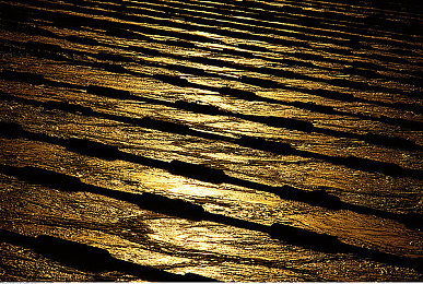 黄色软件排名：极速黄焰引爆赛道，视觉革新与竞速攻略全解析-3