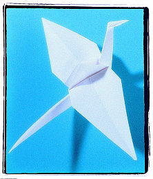 妽妽让我弄了三次5：极限竞速S级驾照终极挑战，雨天纽北赛道攻克指南-3