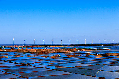 黄色2023免费:极速幻影,赛道上的策略博弈与激情狂飙-4