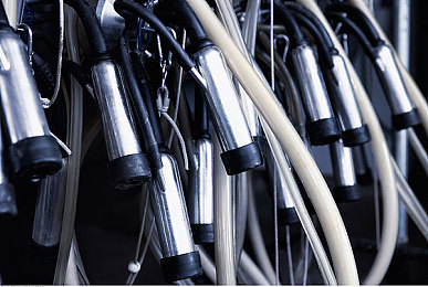 totakka hayya kirdurux7777777：废土狂飙新作登场，融合生存与竞速的终极改装体验-3