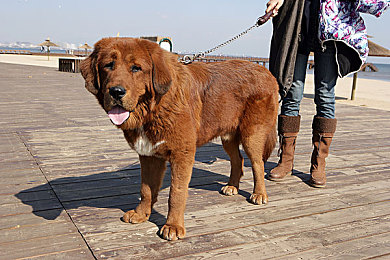 男生和女生叉叉app：双人竞速新纪元，默契搭档征服未来赛道-3