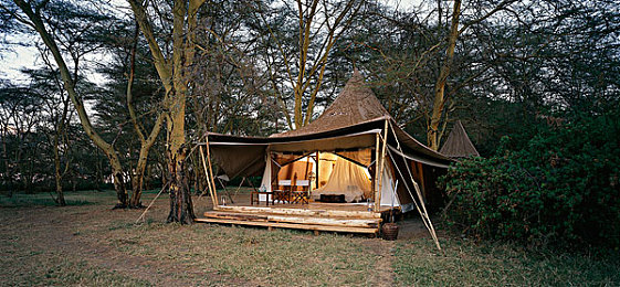 红桃38.47 隐藏:极速谜踪,旧港灯塔下的终极试炼与传奇座驾-2