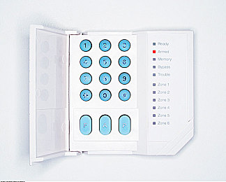 罗宾与乔巴:航海伙伴携手驰骋,双人协作解谜驾驶新体验-5