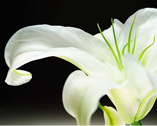 第5人格本子18+：求生者心智博弈，高阶竞技意识与地图策略全解-5