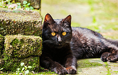 娇妻3p销魂的交换经历：极速共舞，三重奏团队赛车实时换装竞速策略