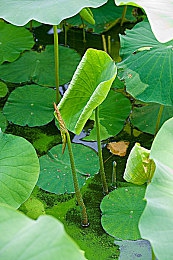 18+禁漫：极速幻影霓虹纪元，以赛博朋克美学重塑硬核竞速体验-3