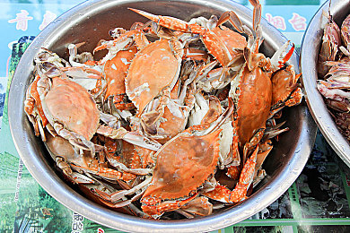 世上最不得安人II:极速逃亡永无终点,体验驾驶焦虑的开放世界生存竞速-3