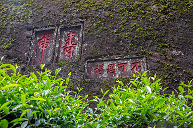 凸轮管西元业余的起源和历史发展:极致拟真,硬核赛车模拟的传奇之路与调校艺术-2